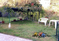 /album/galleria-fotografica/20181021-155518-jpg/