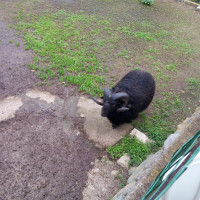 /album/galleria-fotografica/82f56201-4c67-42c5-bc73-46a3657344ef-jpg/